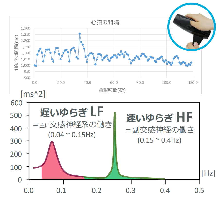 心拍間隔の推移と、周波数解析による交感神経（LF）・副交感神経（HF）の働き